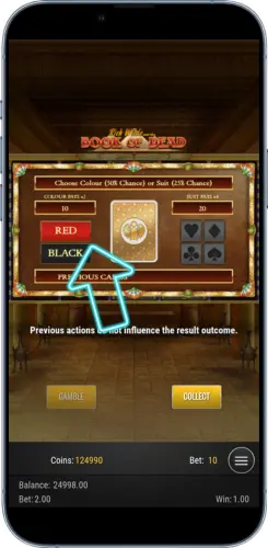 Red or black card gamble choice Book of Dead