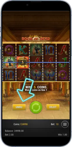 Book of Dead slot spin result on reels