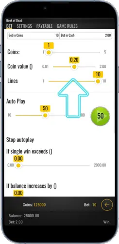 Book of Dead bet settings coin value and paylines